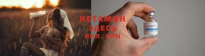 шишки Богородск