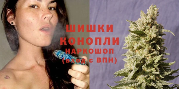 шишки Богородск